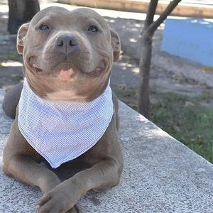 Meet your Posher, Pablo